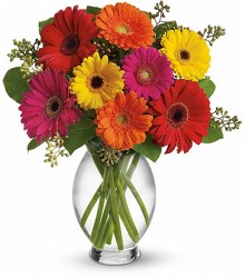 Gerbera Daisies from Crestwood Flowers, your flower shop in Kansas City