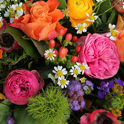 Designer's Choice from Crestwood Flowers, your flower shop in Kansas City